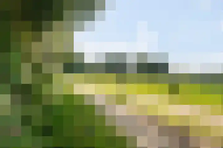 Boergrup 31 Vledderveen thumbnail 83