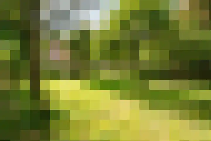 Boergrup 31 Vledderveen thumbnail 9