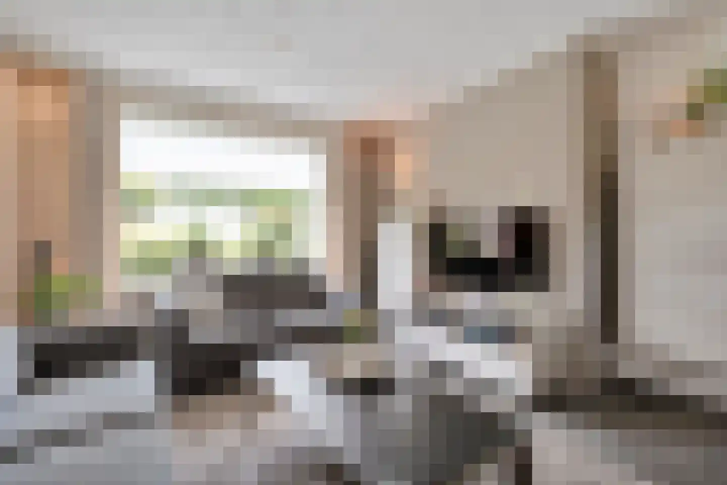 Boerhaar 25 Wijhe thumbnail 13