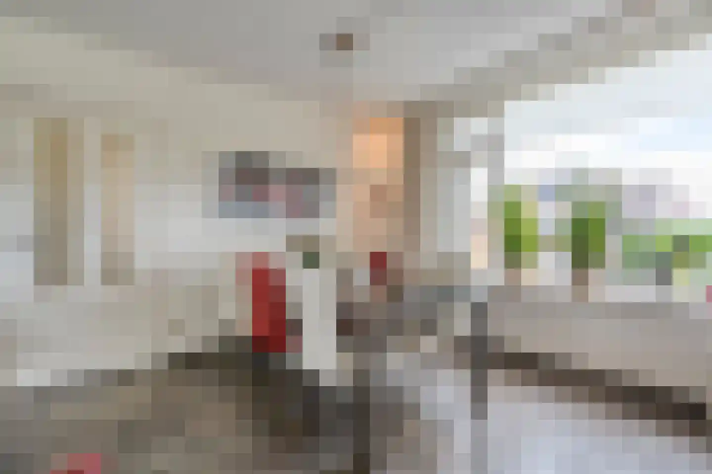 Boerhaar 25 Wijhe thumbnail 15