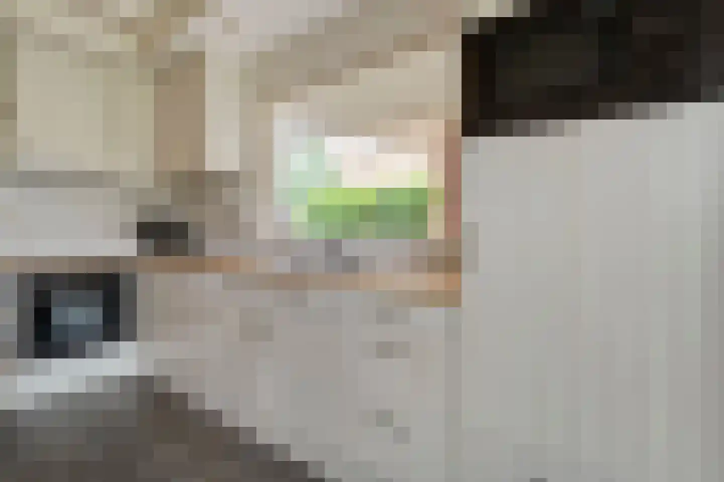 Boerhaar 25 Wijhe thumbnail 21