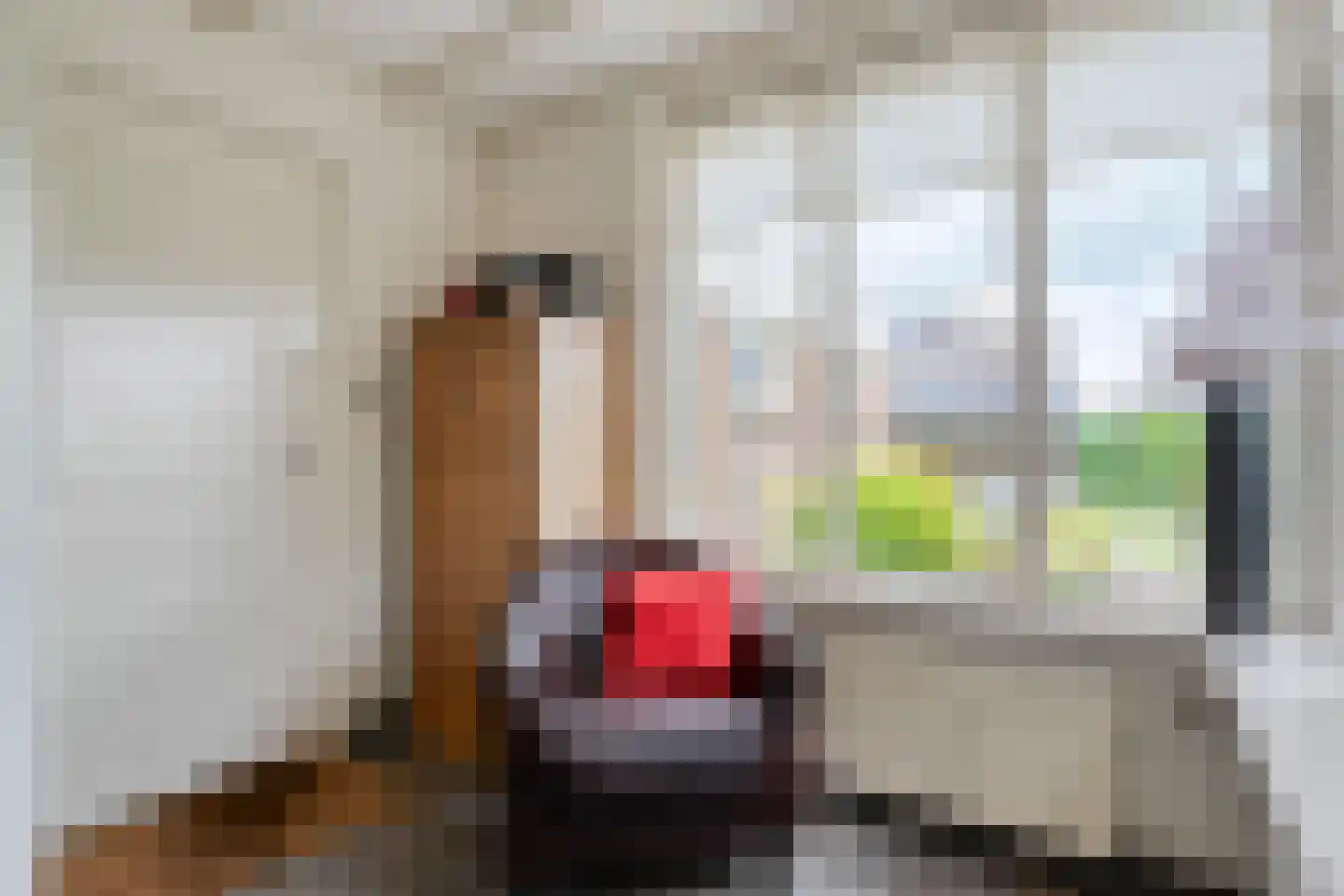 Boerhaar 25 Wijhe thumbnail 22