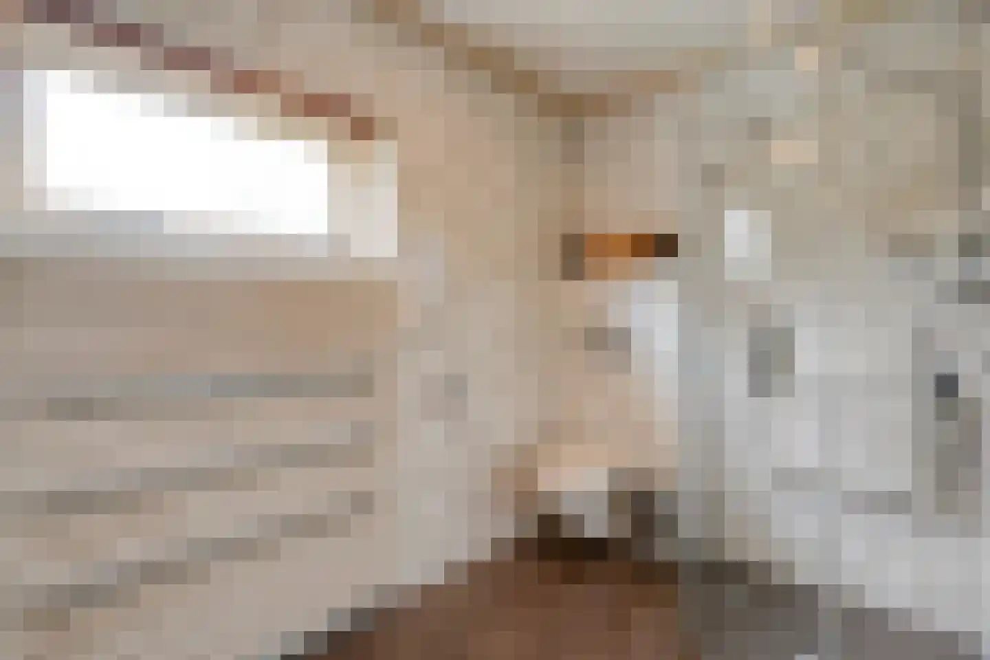 Boerhaar 25 Wijhe thumbnail 31