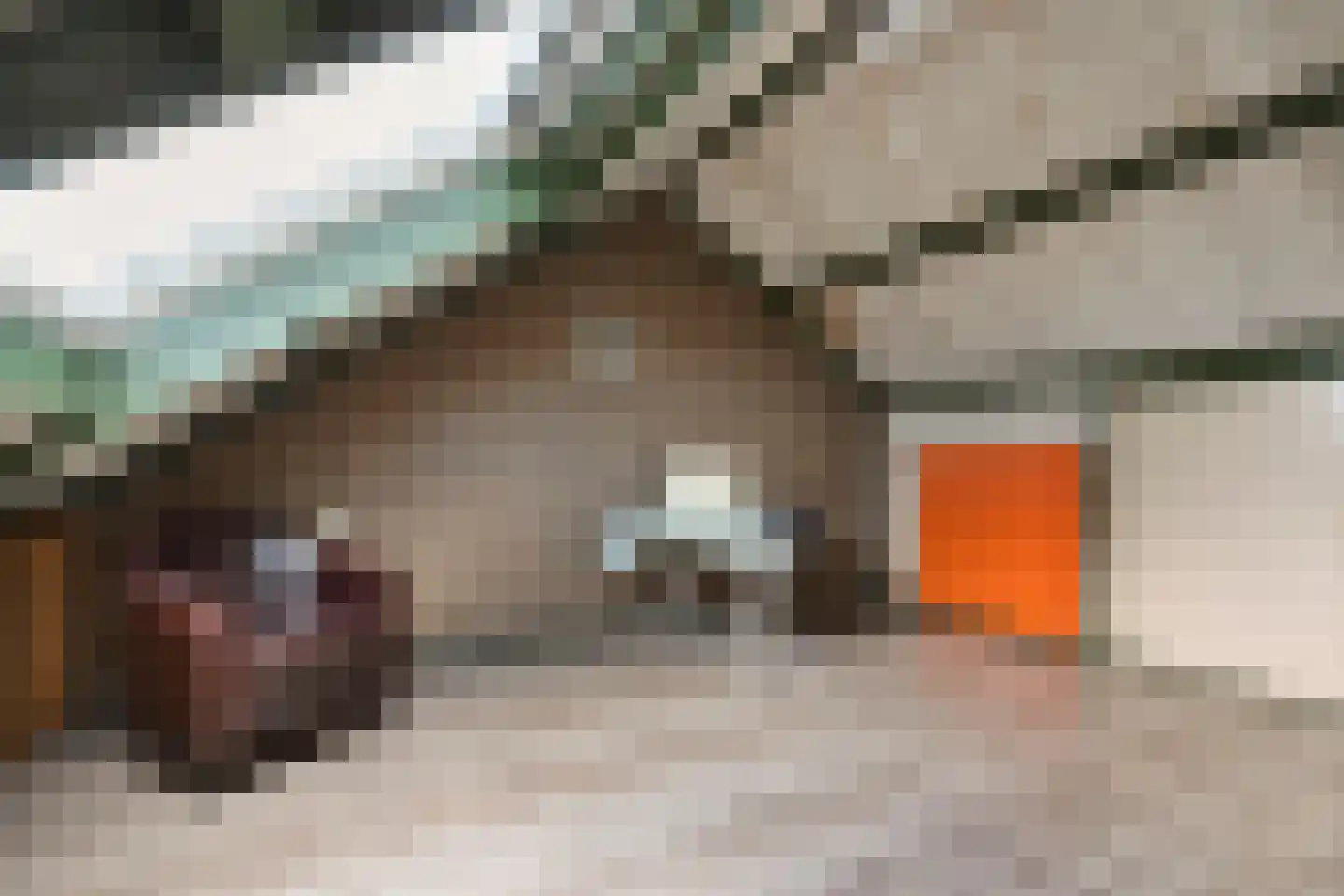 Boerhaar 25 Wijhe thumbnail 33