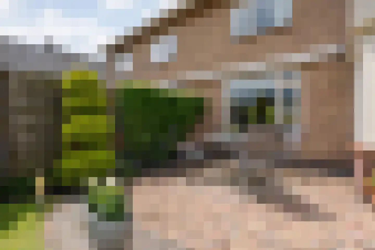 Boerhaar 25 Wijhe thumbnail 41