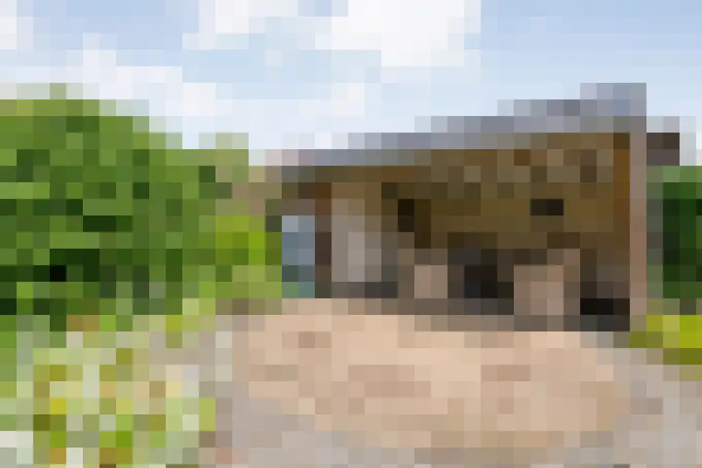 Boerhaar 25 Wijhe thumbnail 44
