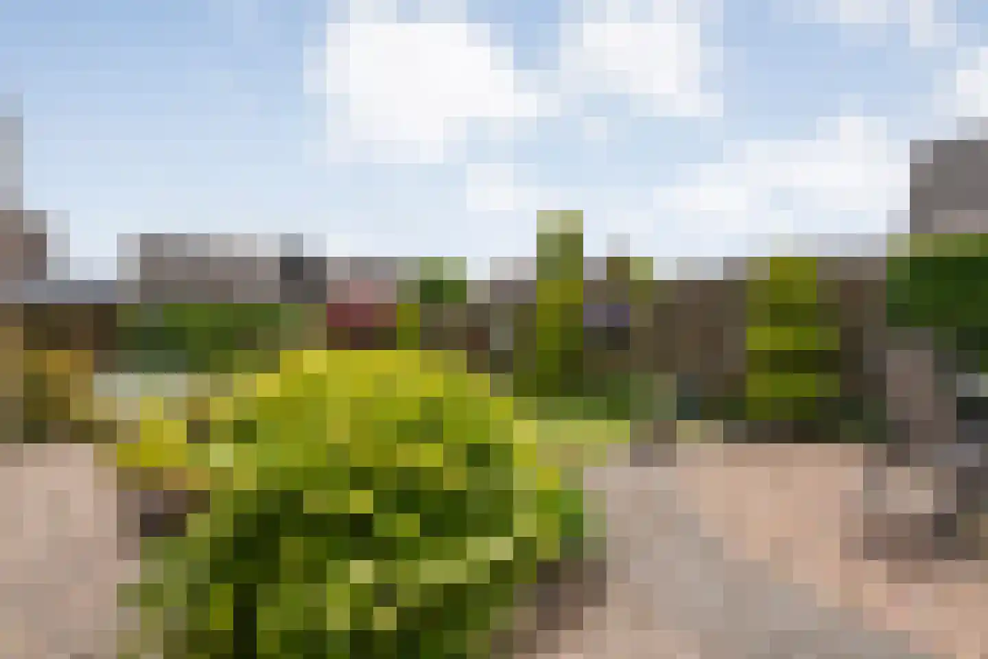 Boerhaar 25 Wijhe thumbnail 48