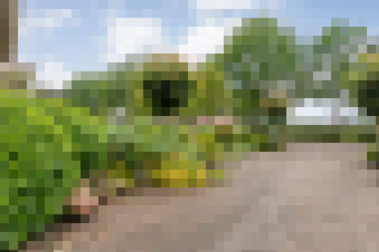 Boerhaar 25 Wijhe thumbnail 6