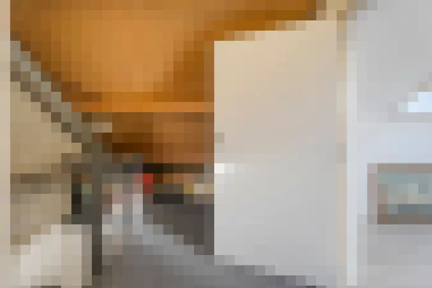 Boerhaavehof 31 Hoogeveen thumbnail 23