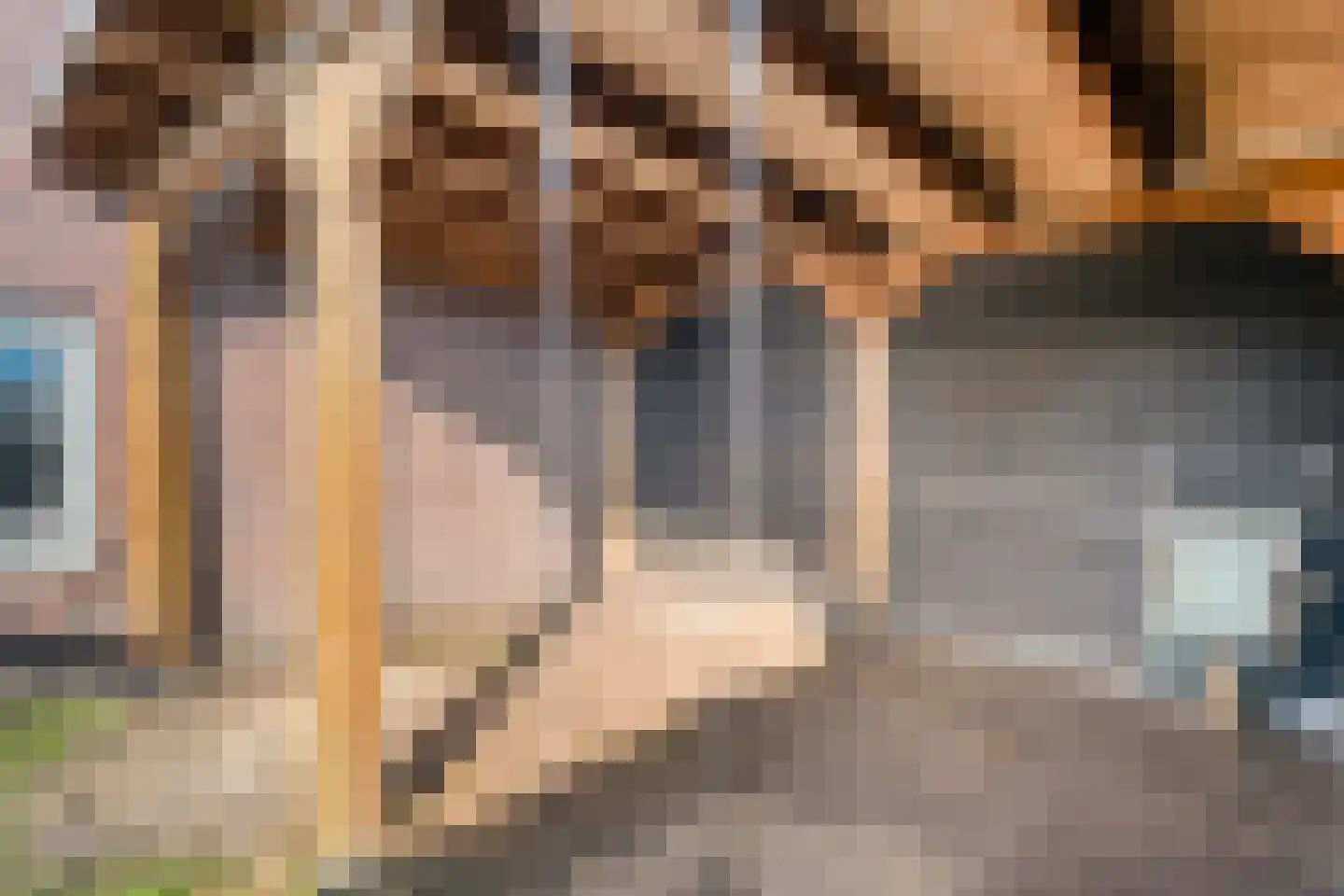 Boerhaavehof 31 Hoogeveen thumbnail 28