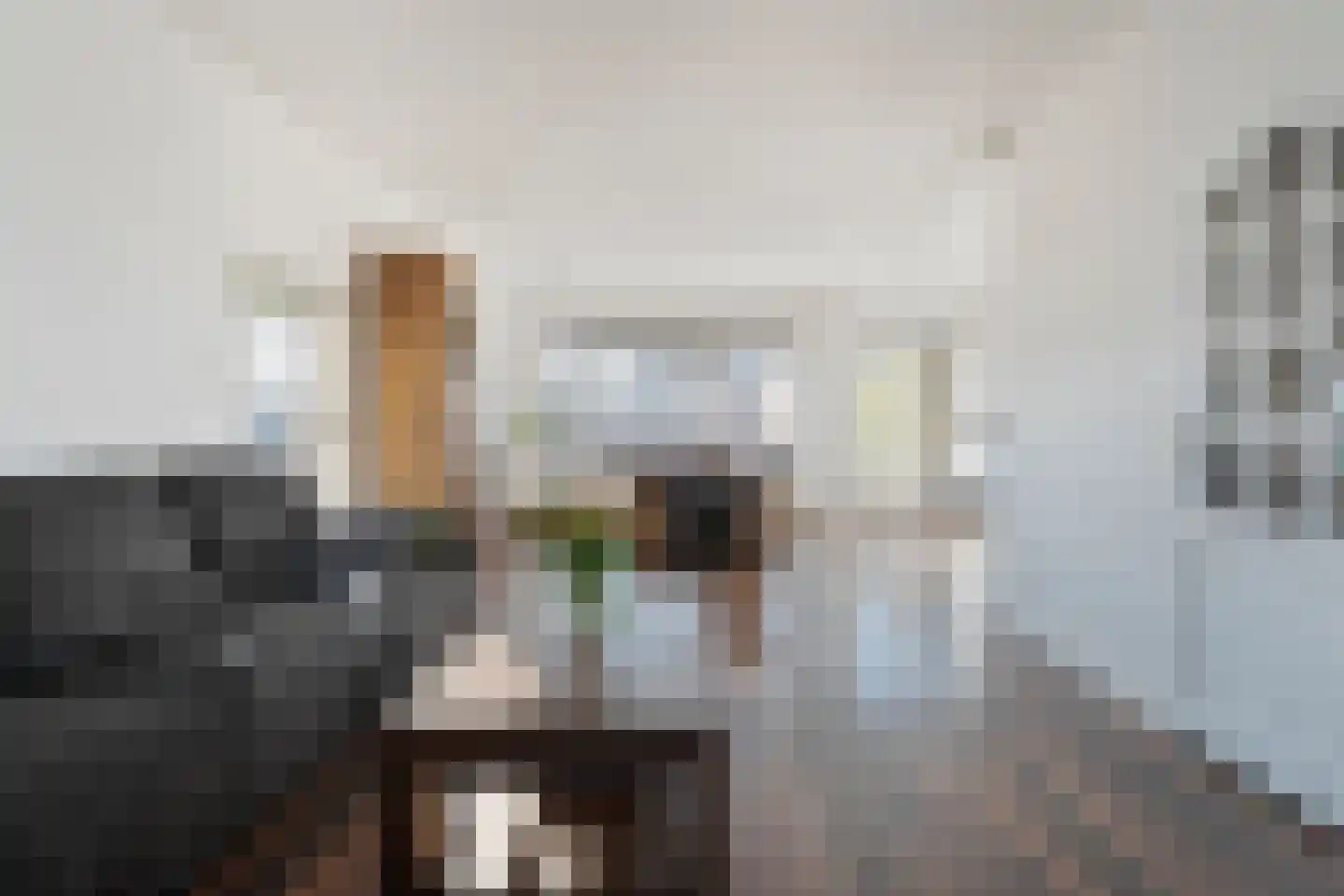 Boerhaavehof 31 Hoogeveen thumbnail 5