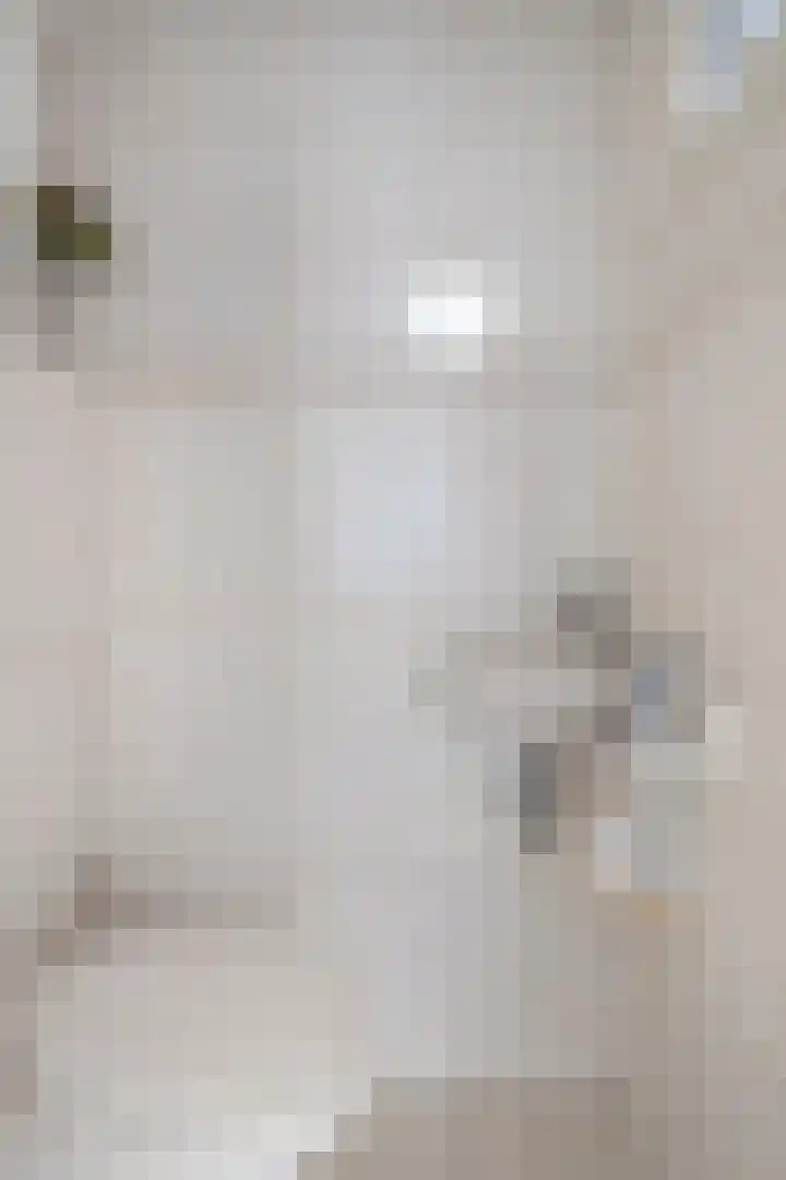 Boerhaavelaan 1 Helmond thumbnail 12