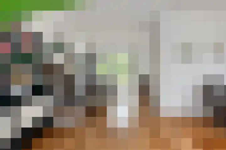 Boerhaavelaan 1 Helmond thumbnail 15