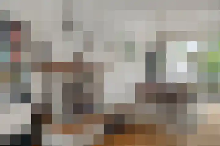 Boerhaavelaan 1 Helmond thumbnail 16