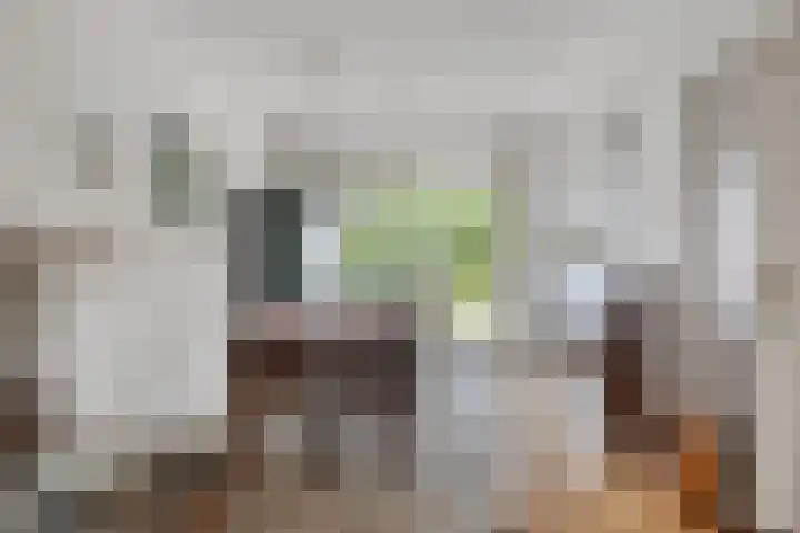 Boerhaavelaan 1 Helmond thumbnail 17