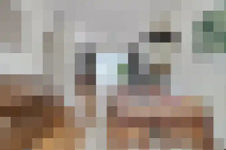Boerhaavelaan 1 Helmond thumbnail 18