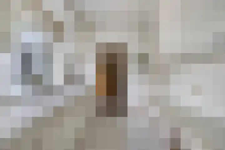 Boerhaavelaan 1 Helmond thumbnail 19