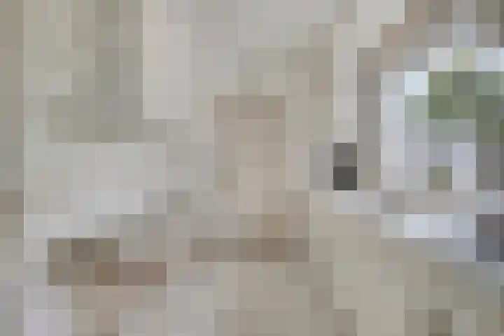 Boerhaavelaan 1 Helmond thumbnail 20