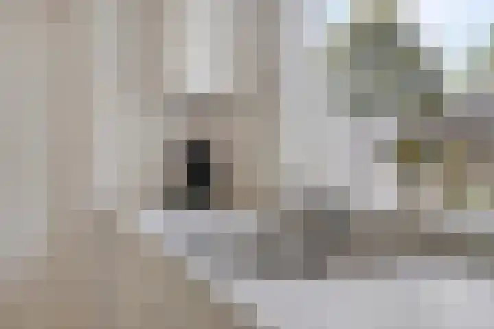 Boerhaavelaan 1 Helmond thumbnail 21