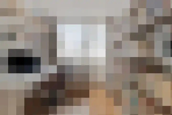 Boerhaavelaan 1 Helmond thumbnail 27