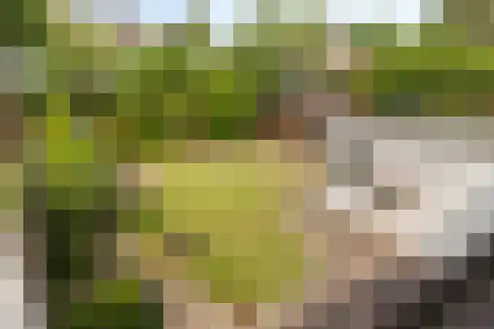Boerhaavelaan 1 Helmond thumbnail 32