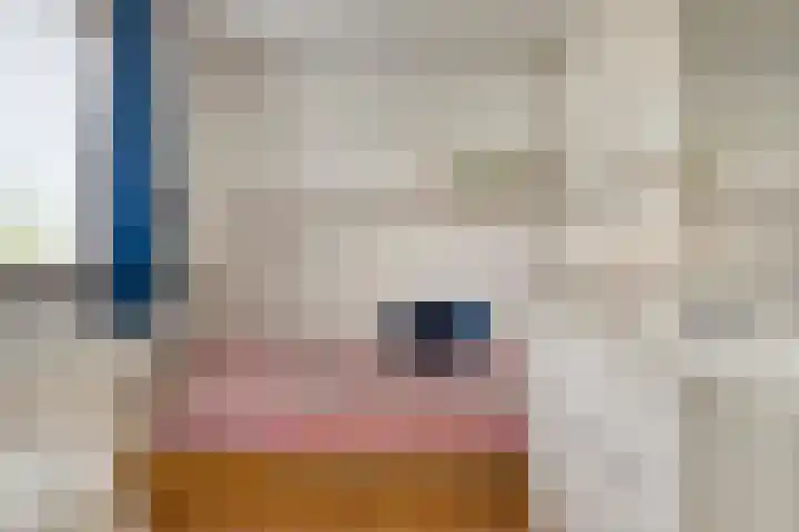 Boerhaavelaan 1 Helmond thumbnail 33