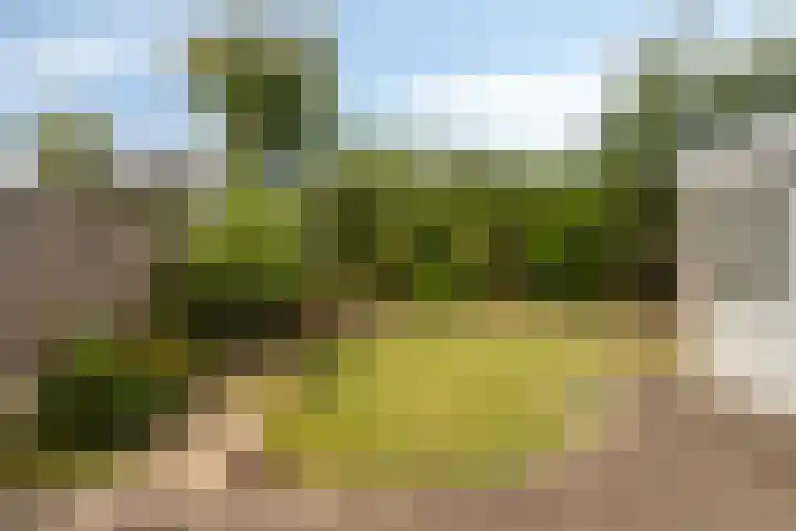 Boerhaavelaan 1 Helmond thumbnail 47