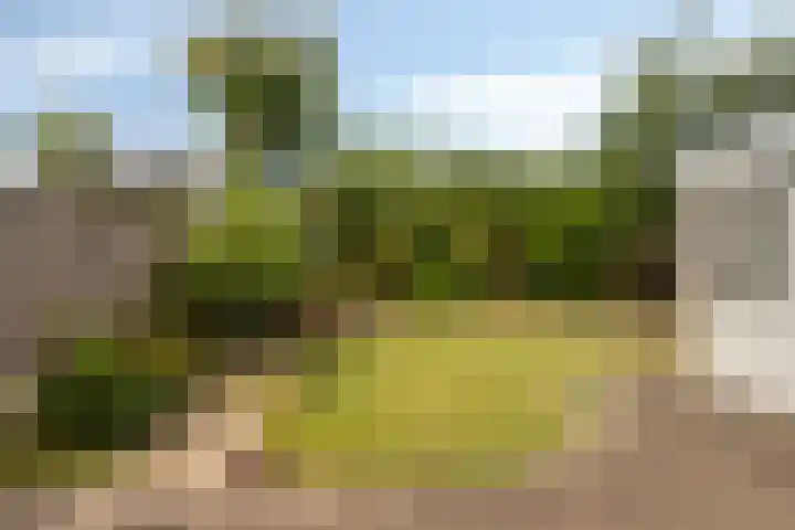 Boerhaavelaan 1 Helmond thumbnail 5