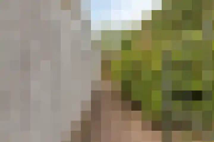 Boerhaavelaan 1 Helmond thumbnail 53