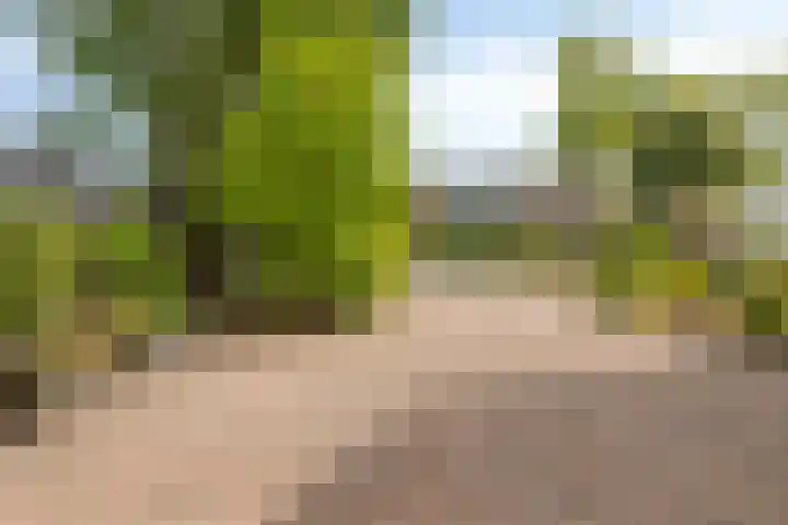 Boerhaavelaan 1 Helmond thumbnail 54