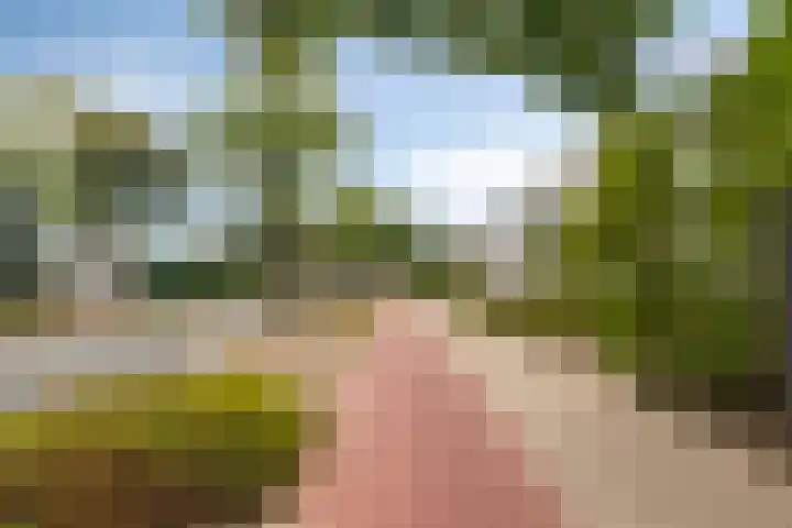 Boerhaavelaan 1 Helmond thumbnail 9