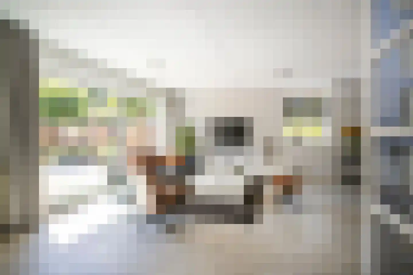 Boerhaavelaan 10 Bennekom thumbnail 10