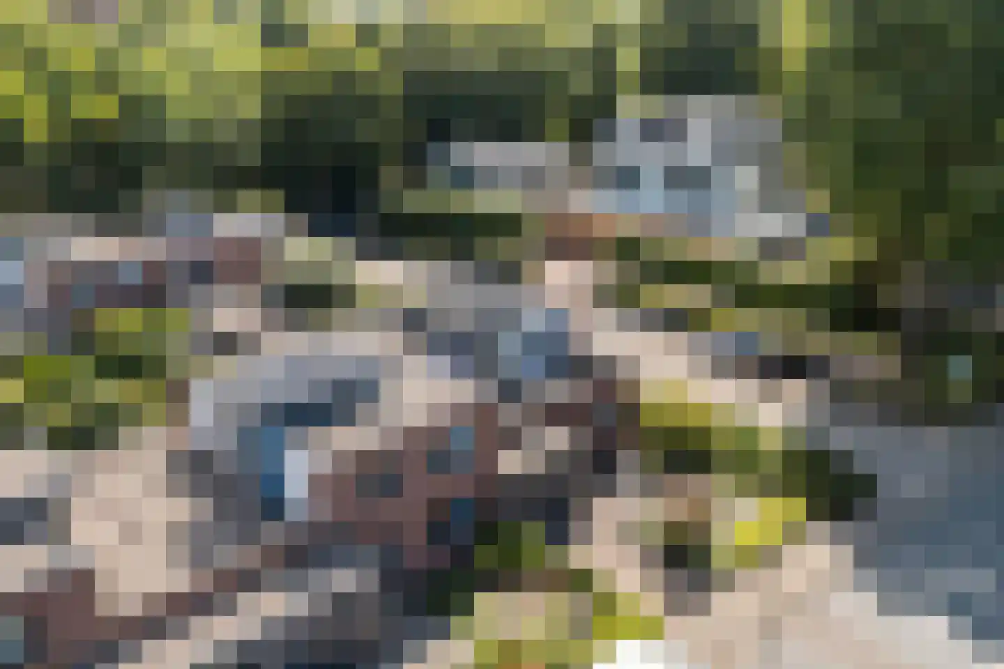 Boerhaavelaan 10 Bennekom thumbnail 50