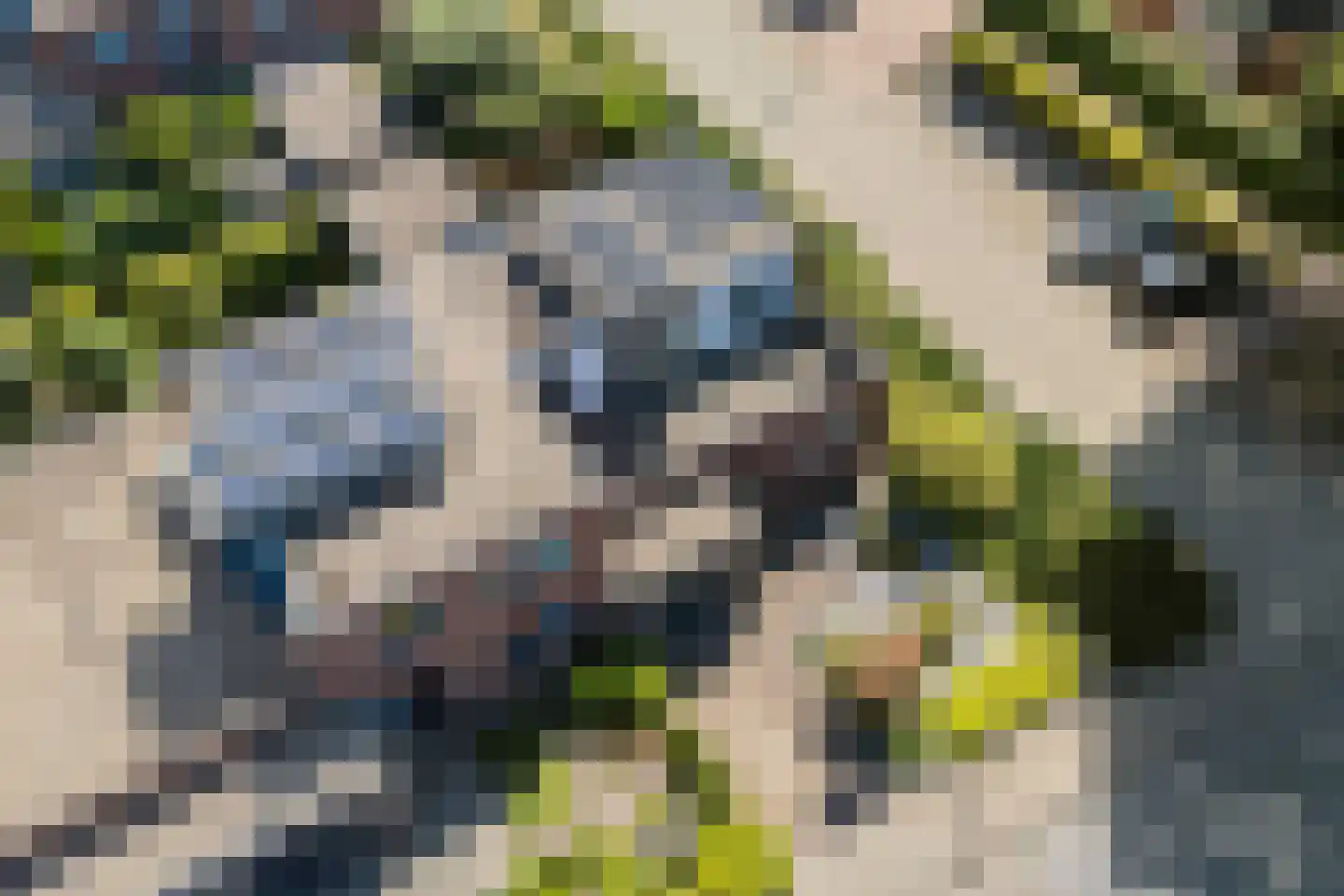 Boerhaavelaan 10 Bennekom thumbnail 56