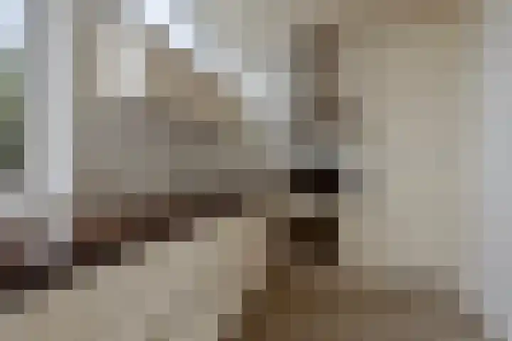 Boerhaavelaan 10 Doetinchem thumbnail 14