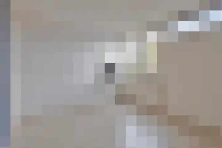 Boerhaavelaan 10 Doetinchem thumbnail 23