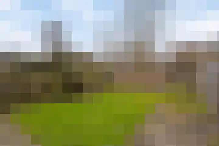 Boerhaavelaan 10 Doetinchem thumbnail 30