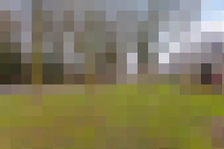 Boerhaavelaan 10 Doetinchem thumbnail 32