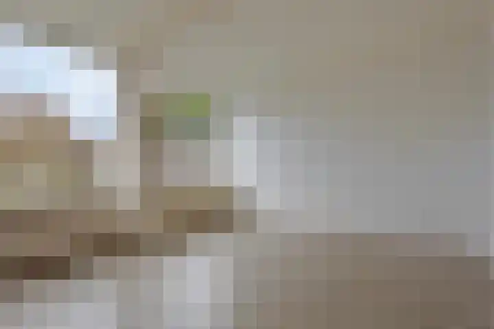 Boerhaavelaan 10 Doetinchem thumbnail 9