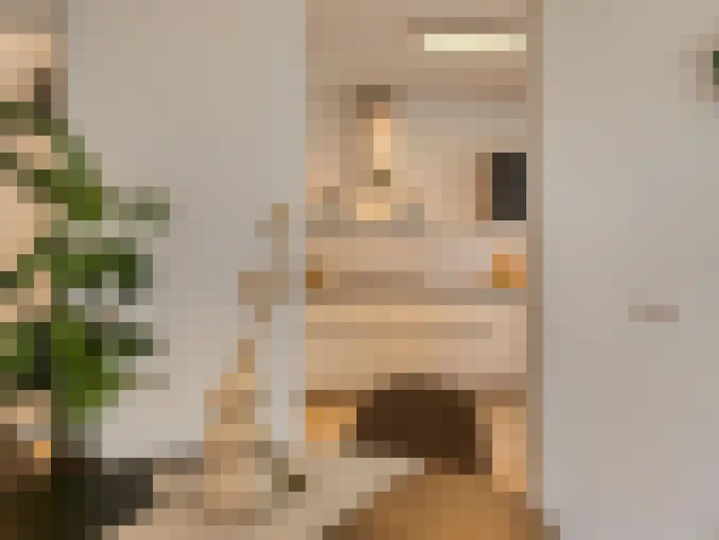Boerhaavelaan 101 Leiden thumbnail 21