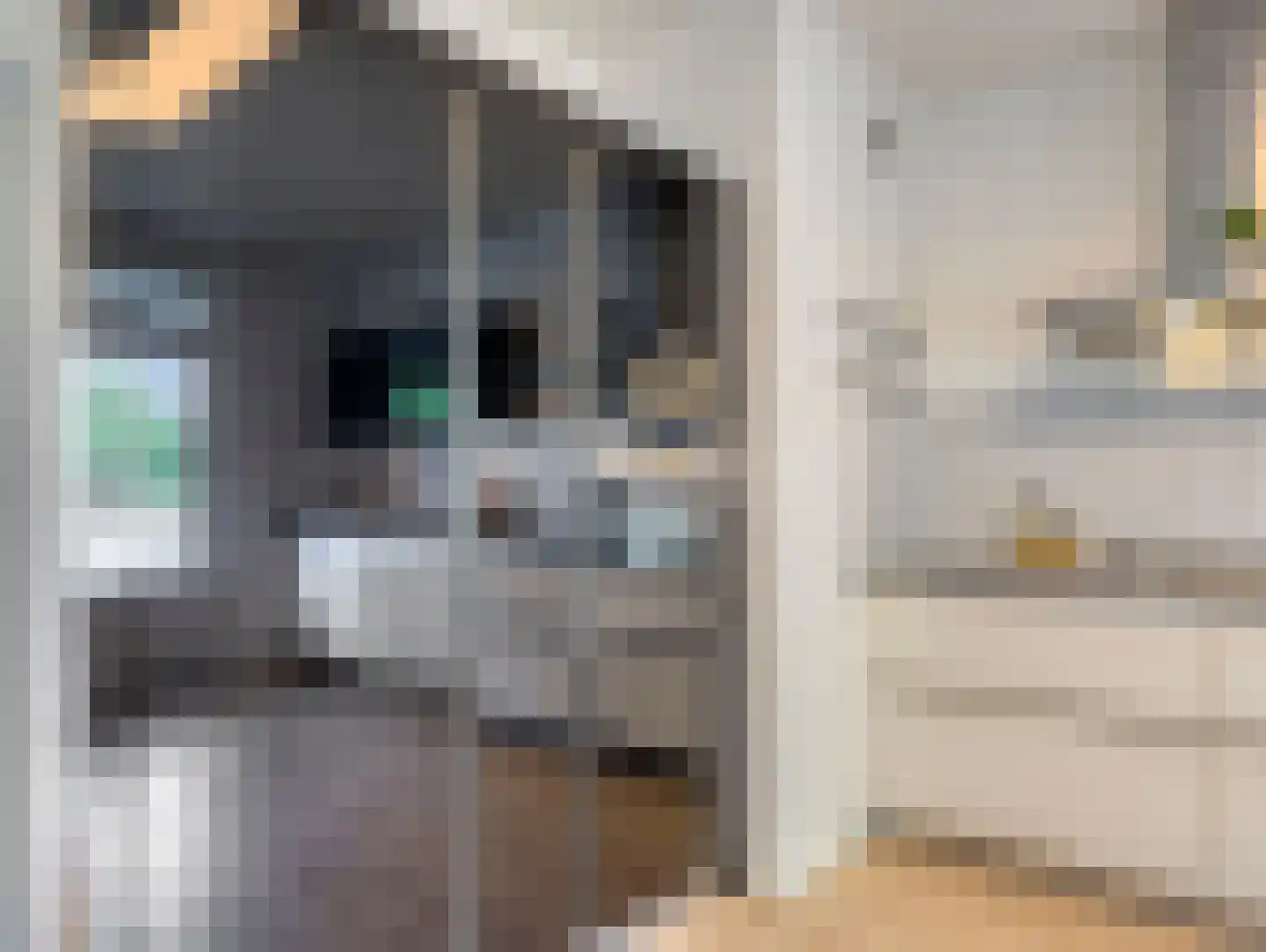 Boerhaavelaan 101 Leiden thumbnail 23