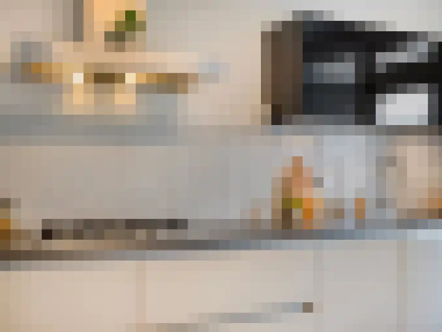 Boerhaavelaan 101 Leiden thumbnail 24
