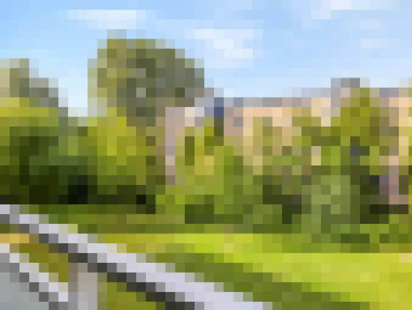 Boerhaavelaan 101 Leiden thumbnail 28