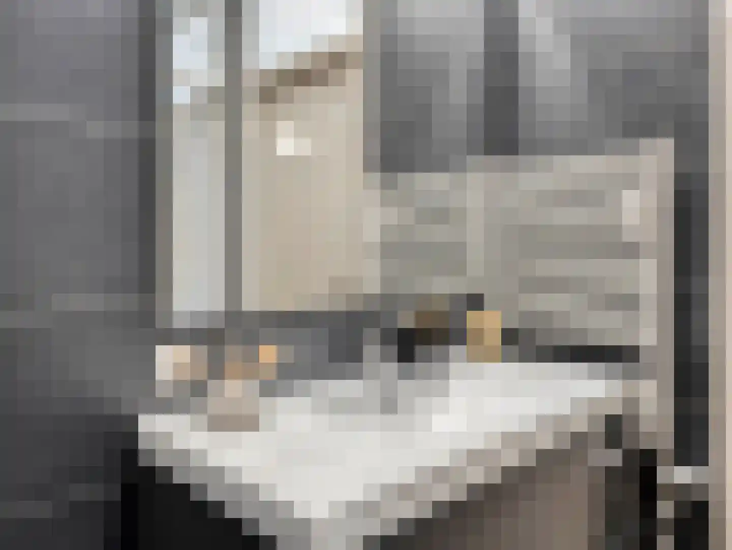 Boerhaavelaan 101 Leiden thumbnail 31