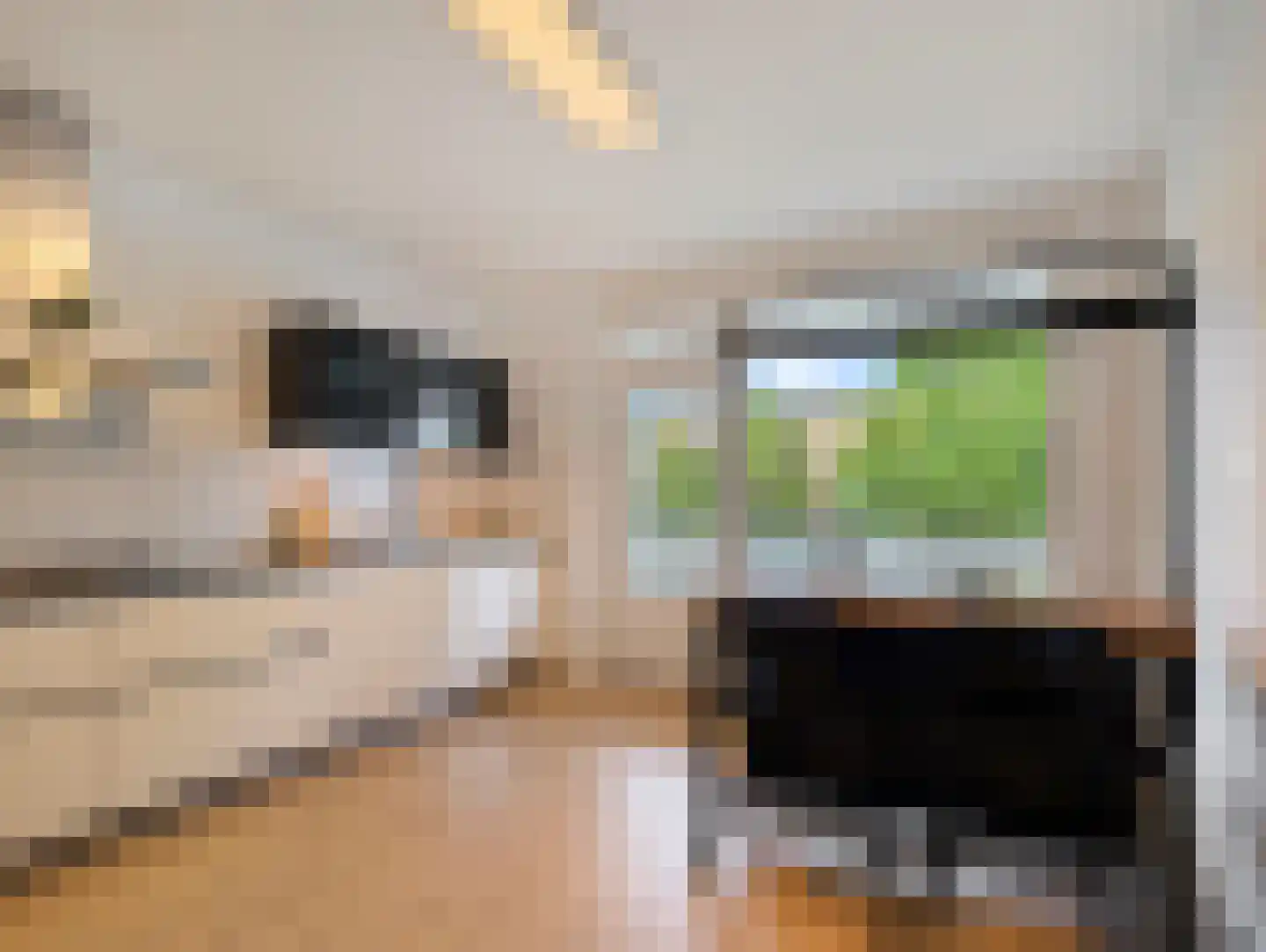 Boerhaavelaan 101 Leiden thumbnail 4