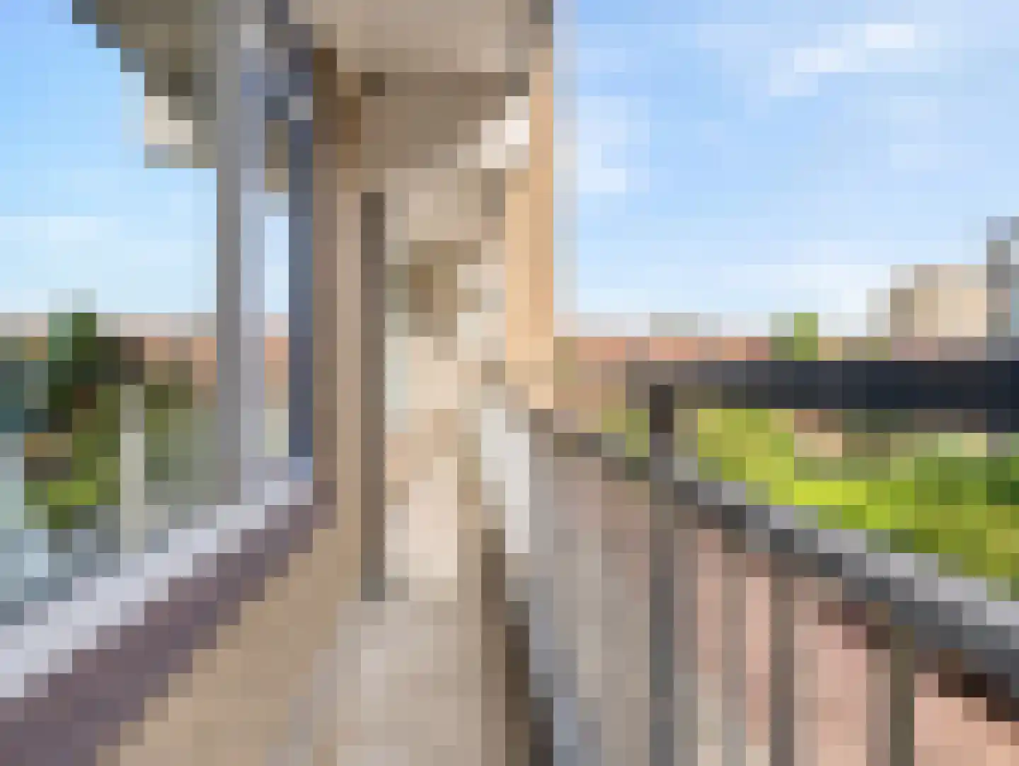 Boerhaavelaan 101 Leiden thumbnail 40