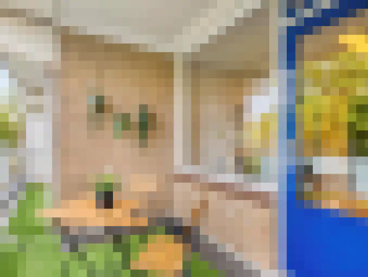 Boerhaavelaan 101 Leiden thumbnail 5