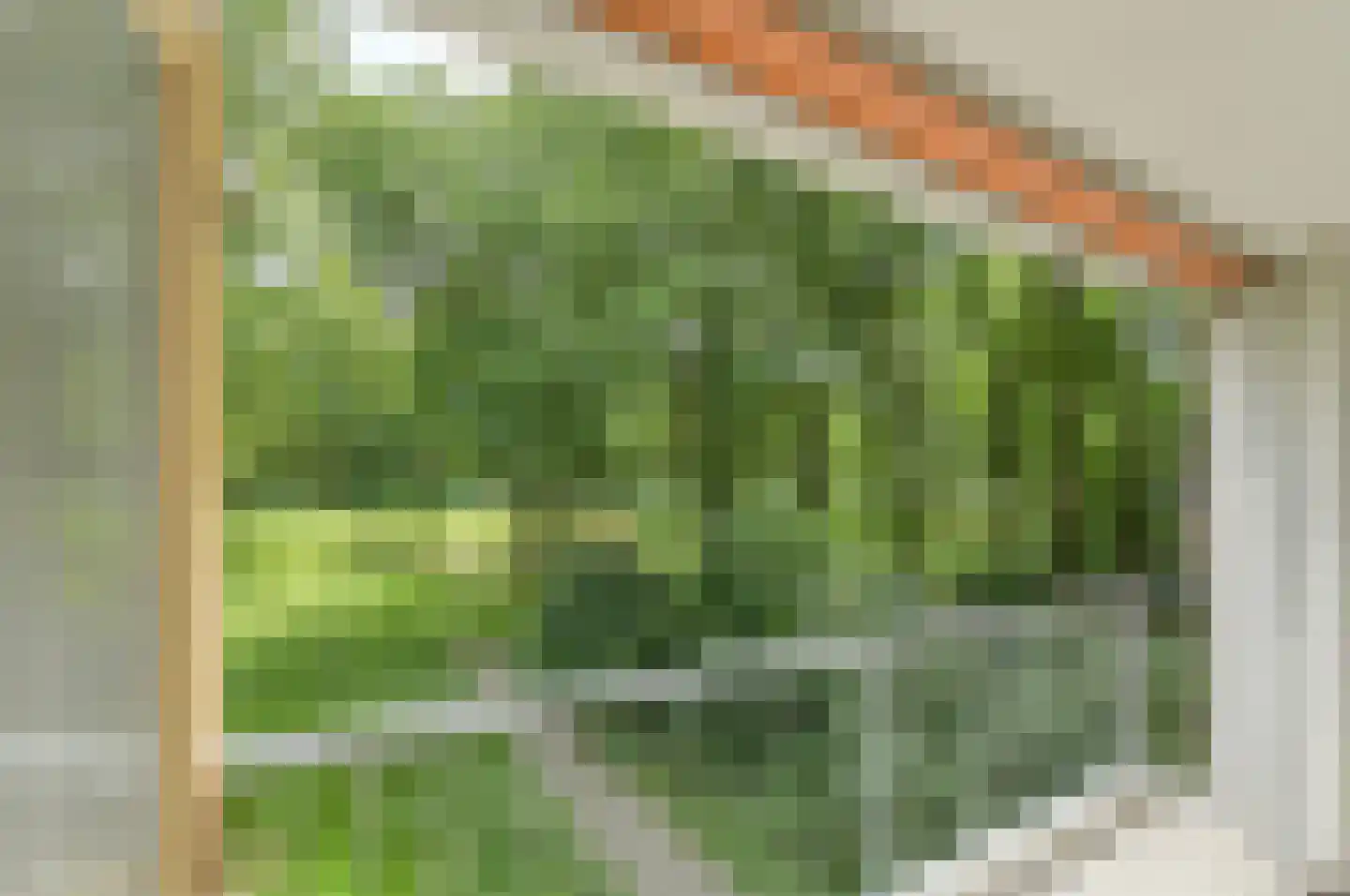 Boerhaavelaan 101 Oosterhout thumbnail 17