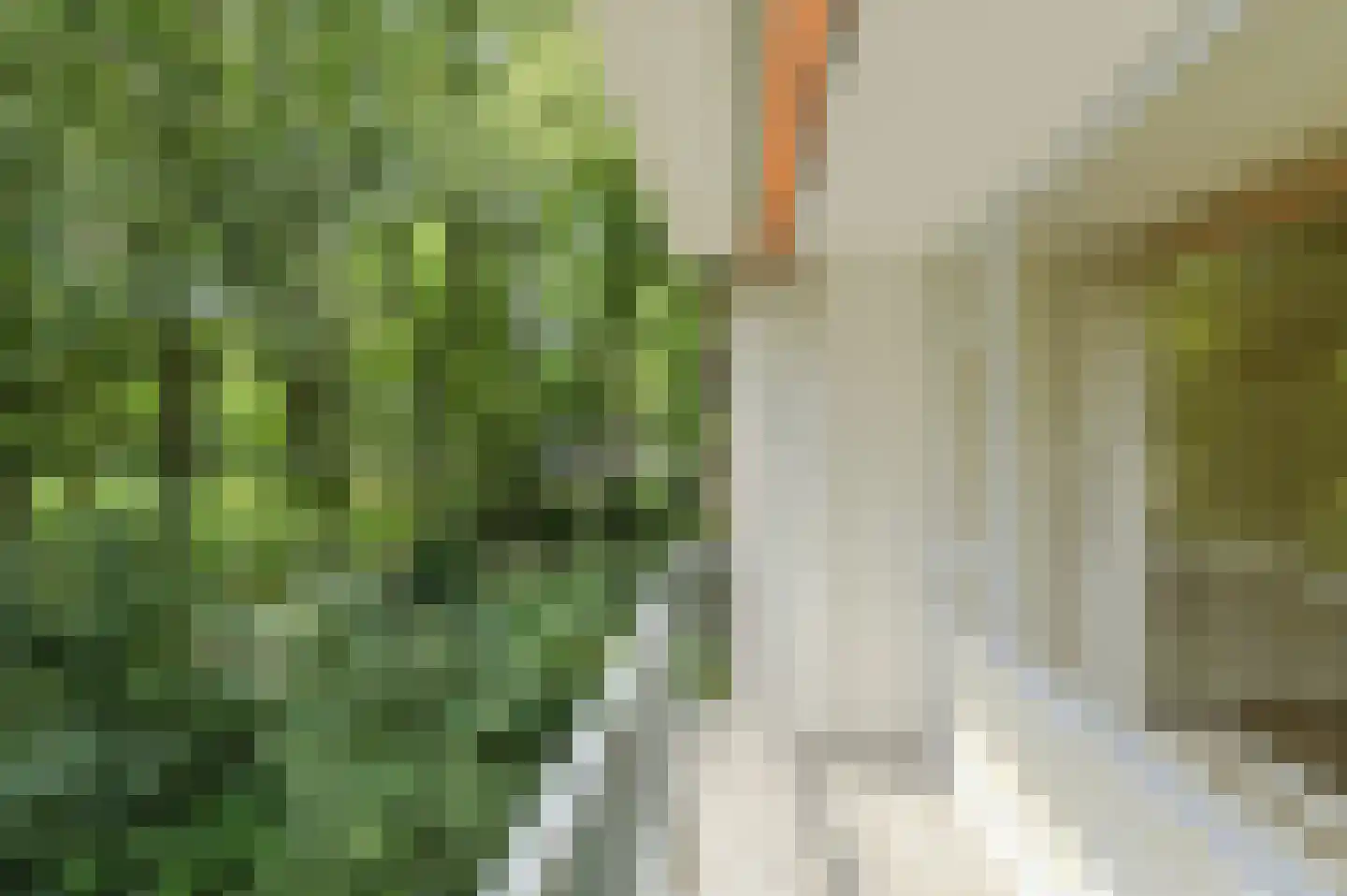 Boerhaavelaan 101 Oosterhout thumbnail 18