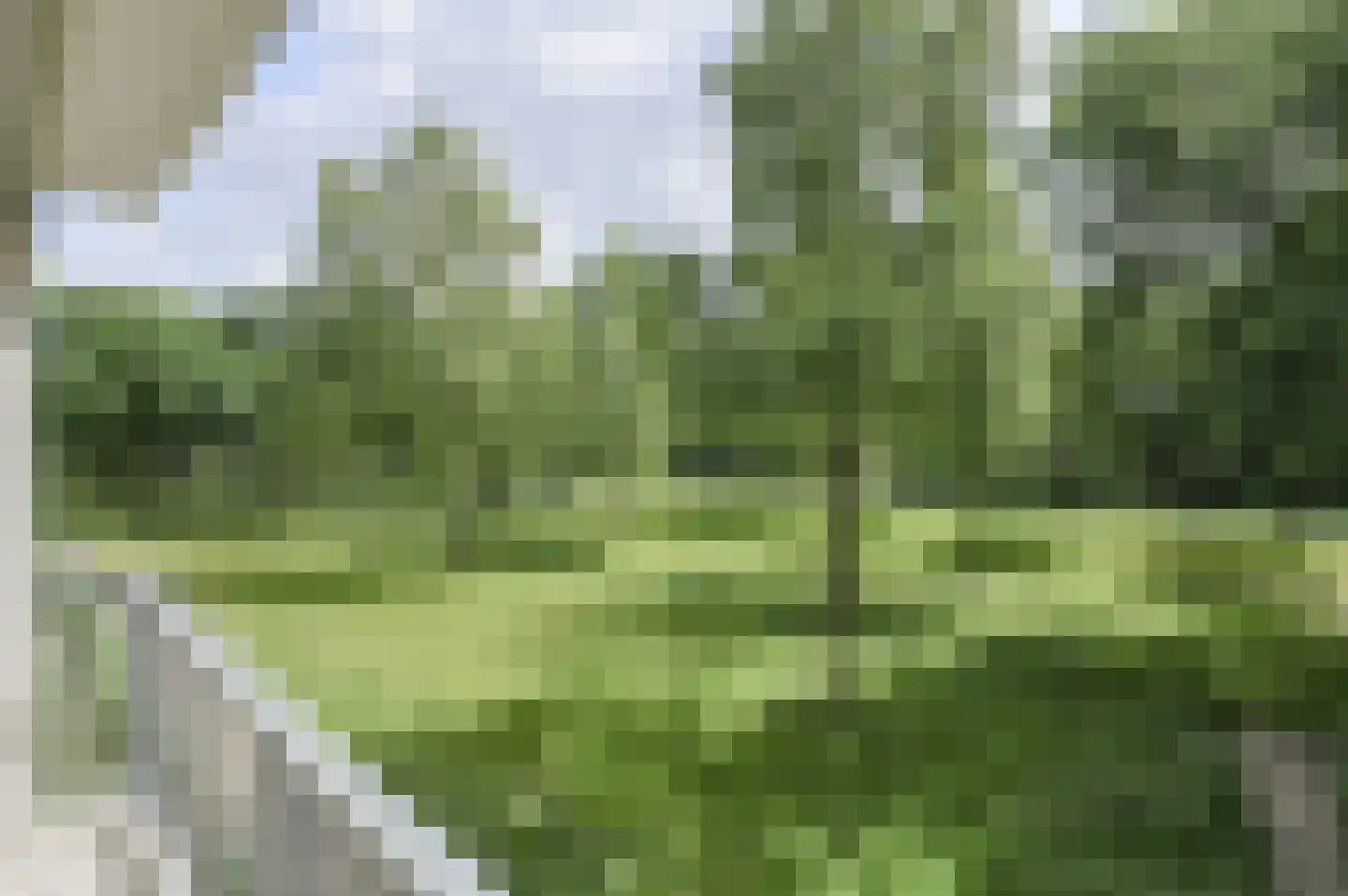 Boerhaavelaan 101 Oosterhout thumbnail 19
